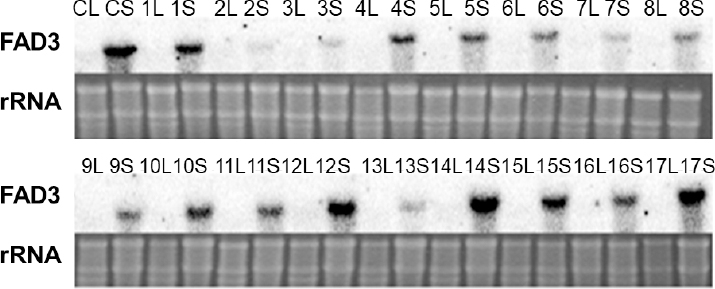 KJBS_50_463_fig_3.jpg