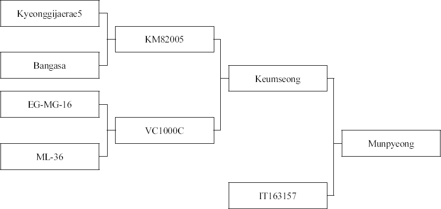 KJBS_50_485_fig_2.jpg