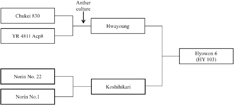 KJBS_50_529_fig_1.jpg