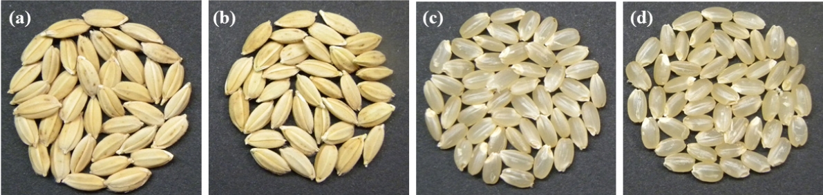 KJBS_50_529_fig_3.jpg