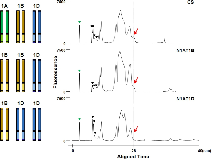 KJBS_50_81_fig_1.jpg