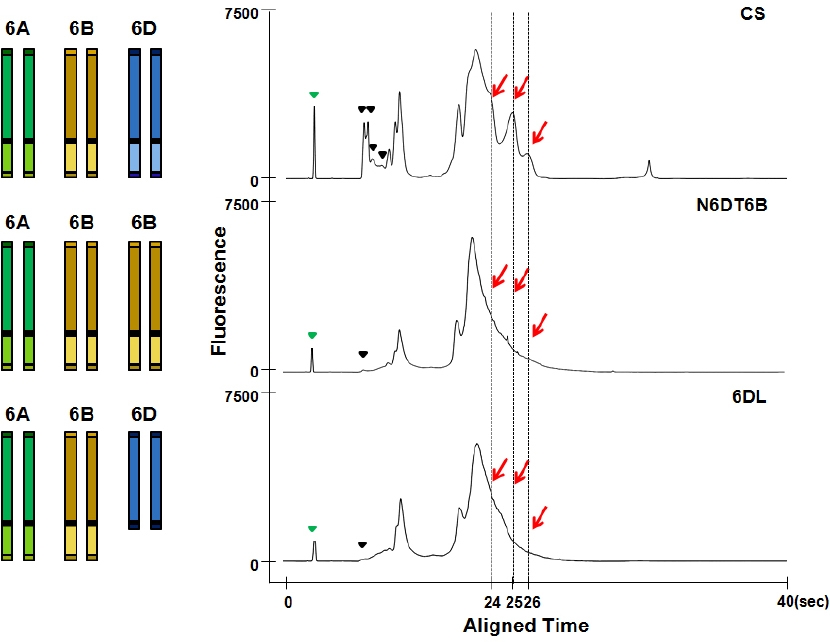 KJBS_50_81_fig_6.jpg