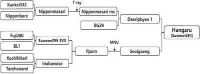 KJBS_51_134_fig_2.jpg