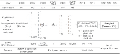 KJBS_51_151_fig_1.jpg