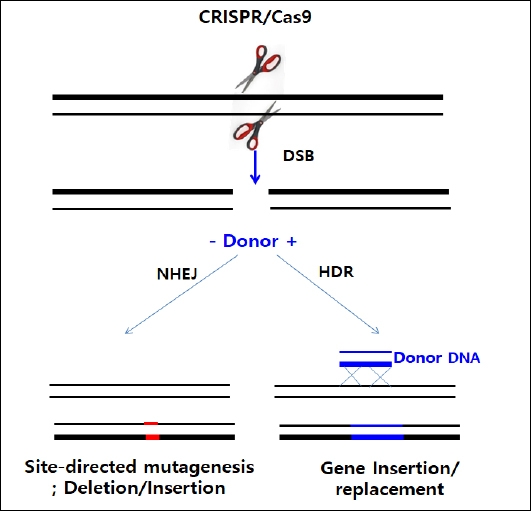 KJBS_51_161_fig_2.jpg