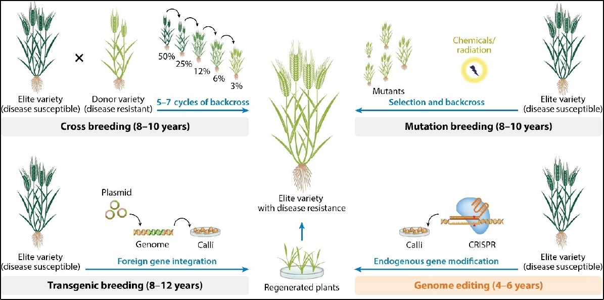 KJBS_51_175_fig_1.jpg