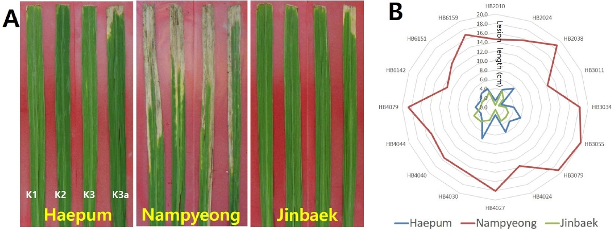 KJBS_51_222_fig_5.jpg