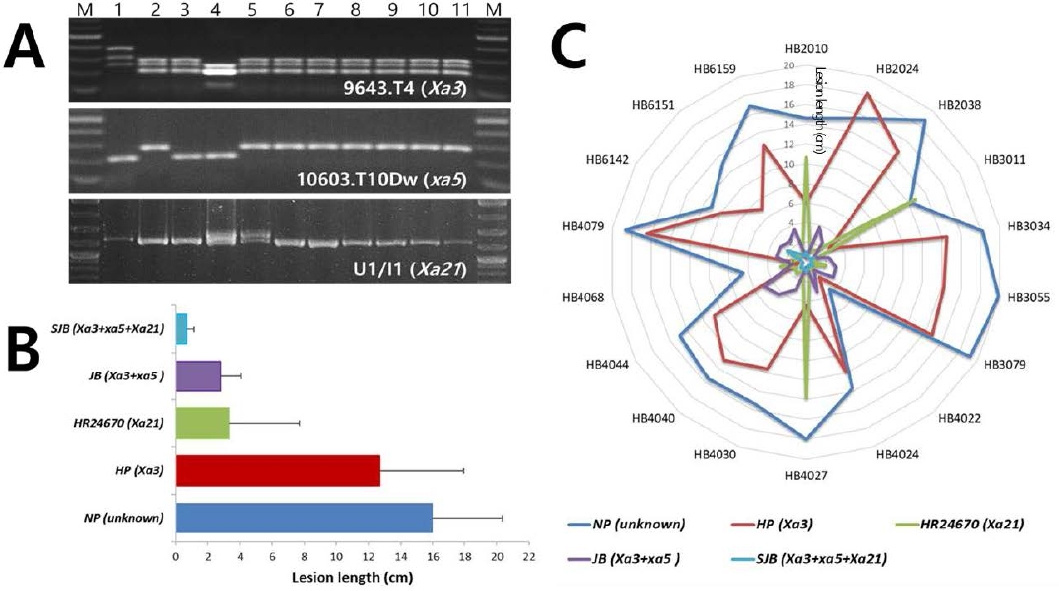 KJBS_51_263_fig_4.jpg