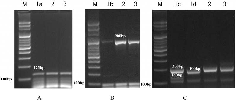 KJBS_51_277_fig_3.jpg