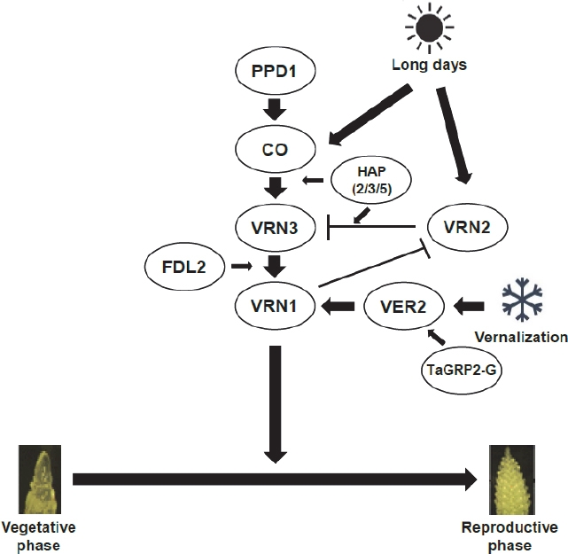 KJBS_51_65_fig_1.jpg