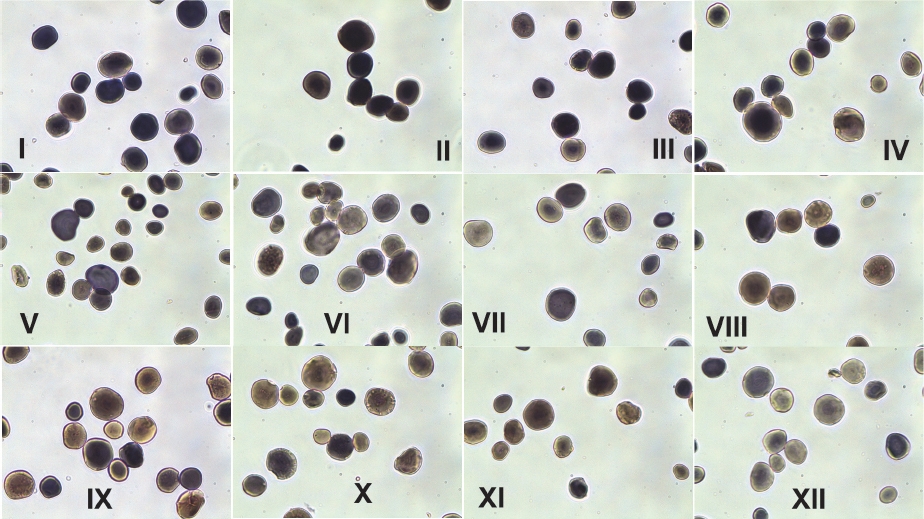 KJBS_51_73_fig_1.jpg