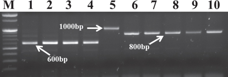 KJBS_51_73_fig_2.jpg