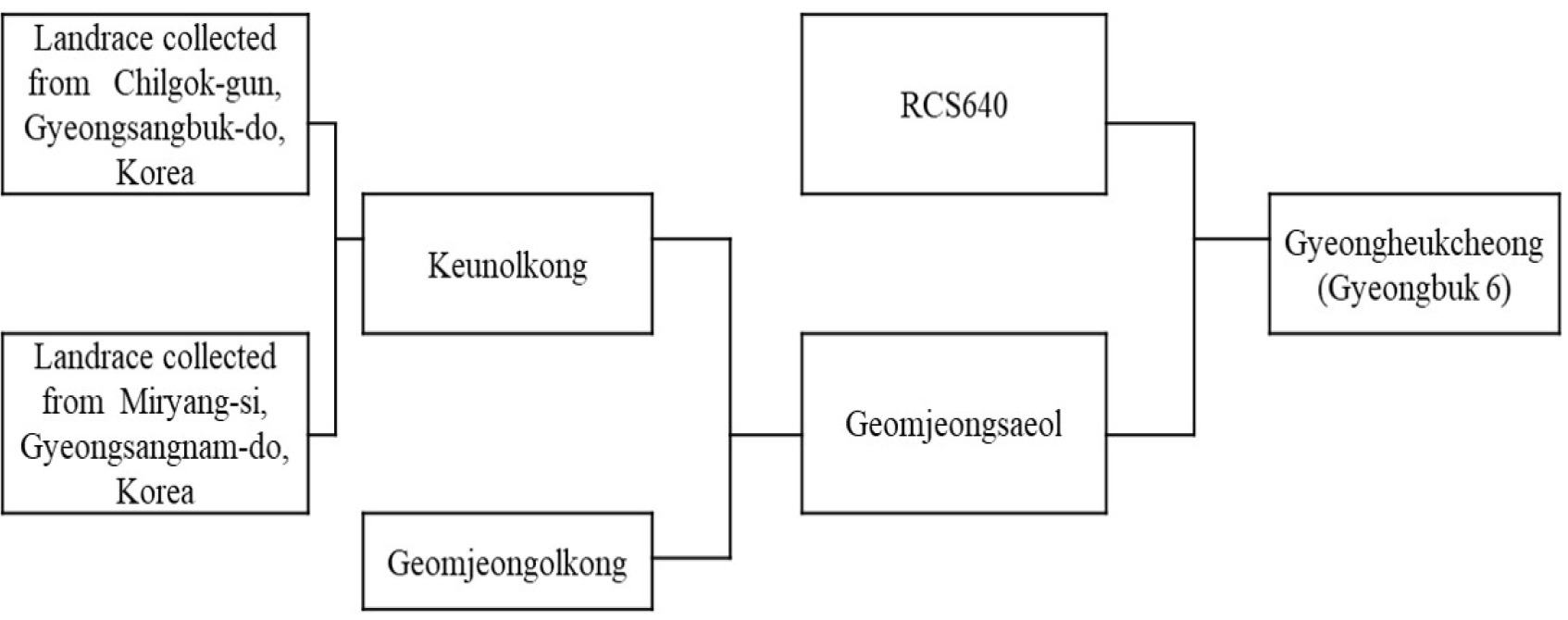 kjbs-54-4-461-f1.jpg