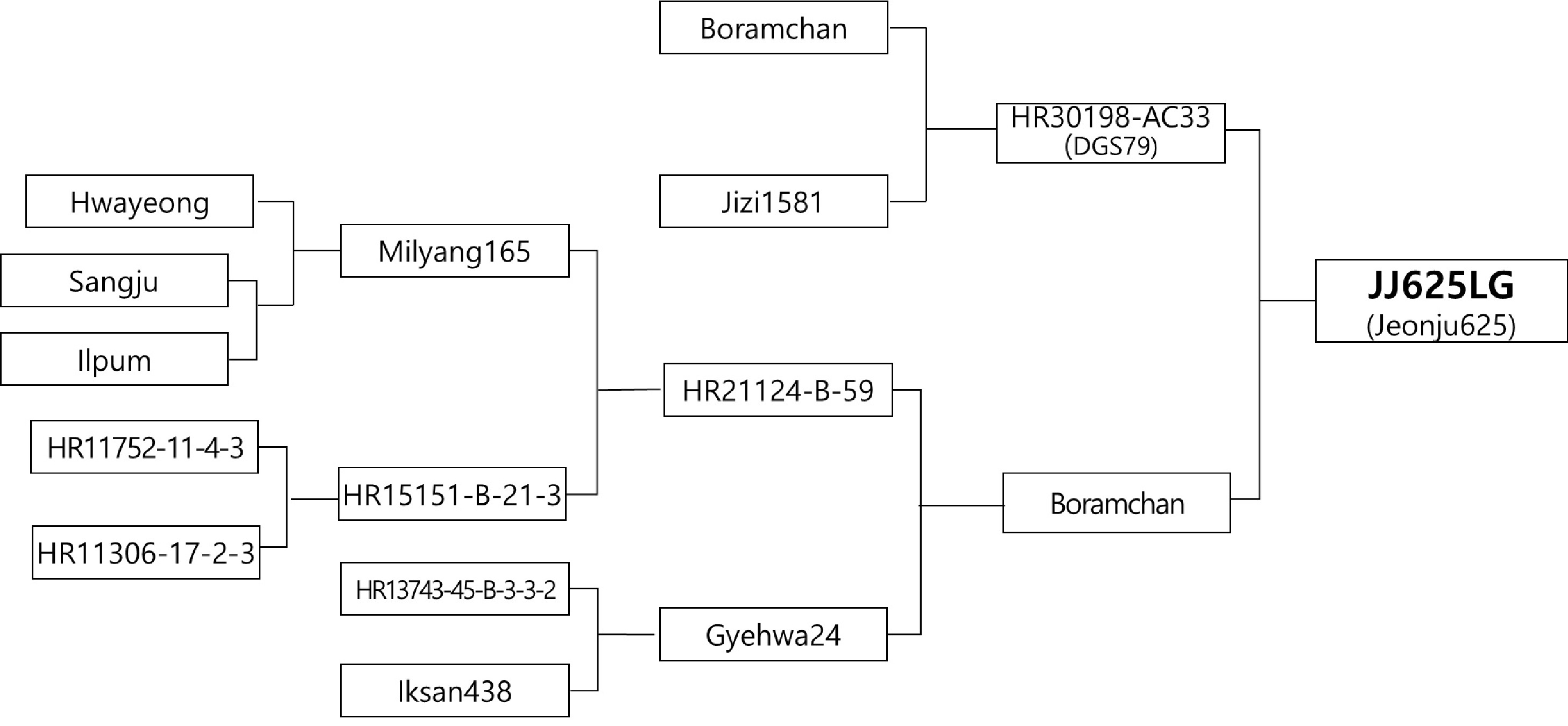kjbs-57-3-301-f1.jpg