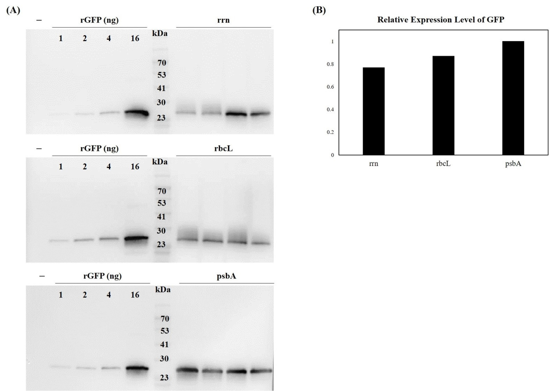 kjbs-57-4-359-f5.jpg