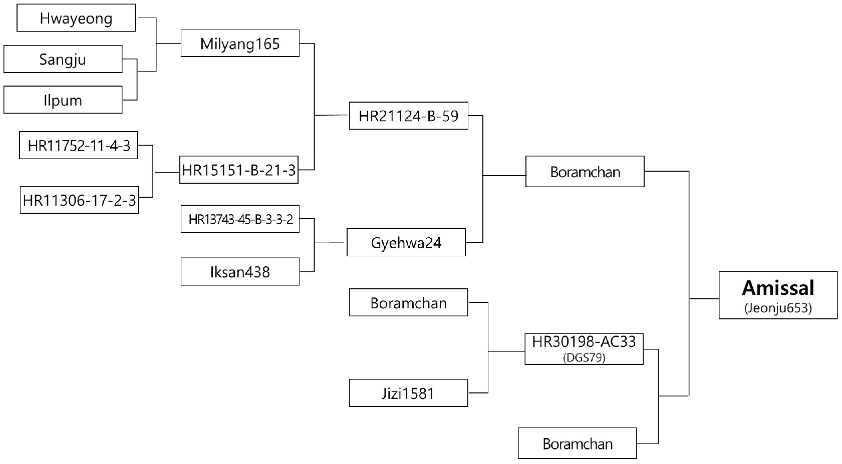 kjbs-57-4-547-f1.jpg