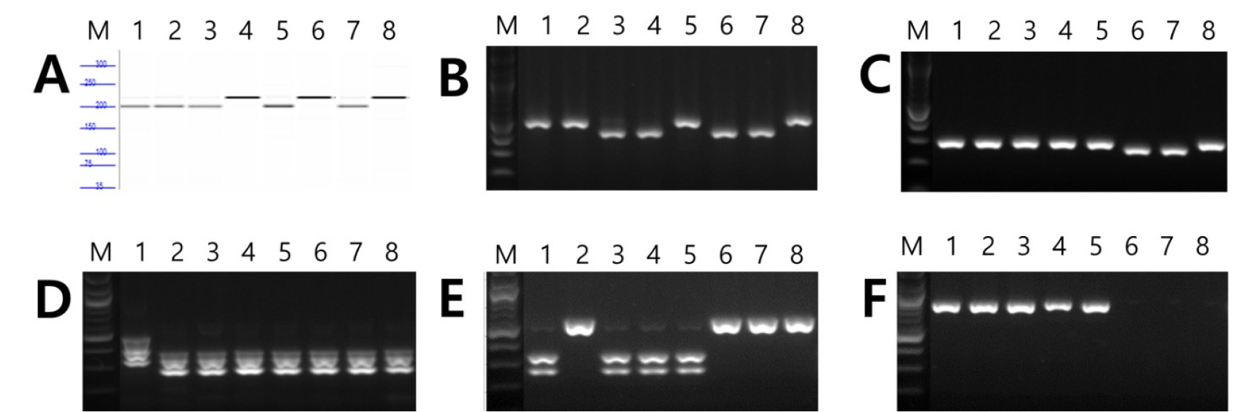 kjbs-57-4-547-f4.jpg
