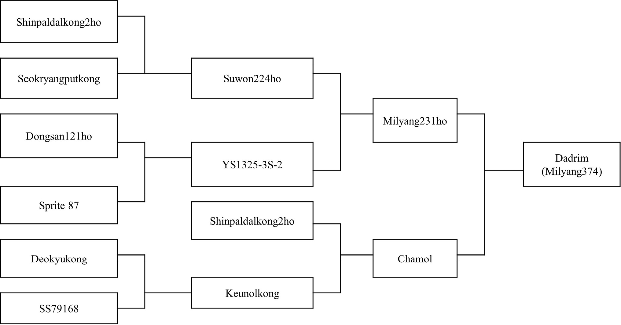 kjbs-58-1-31-f2.jpg