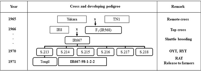 KJBS-52-058-tg2.jpg
